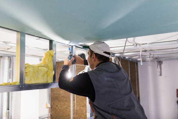 Best Residential Insulation in Little Canada, MN