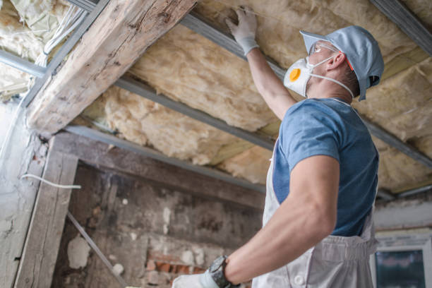 Best Specialty Insulation in Little Canada, MN