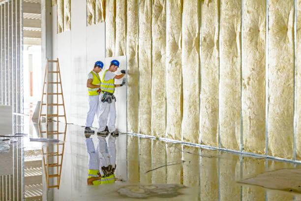 Best Insulation Installation Services in Little Canada, MN